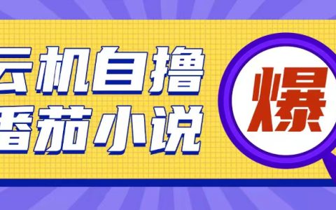 全新云手机自运营小说模式，10元投入实现200元以上回报，操作简便【揭秘】