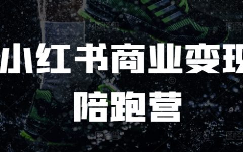 小红书商业变现全程指导:电商运营教程与实战陪跑营