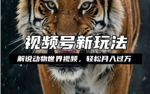 揭秘如何通过动物世界解说视频赚取分成收益,轻松实现月入过万,简单易操作