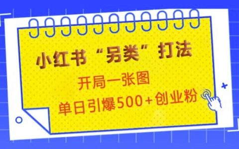 小红书独特运营技巧,首图即吸睛,单日吸引500+精准创业粉丝【实战分享】