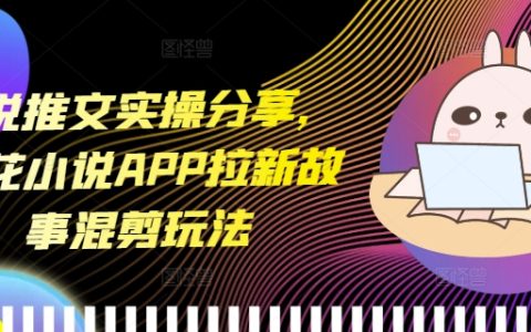 小说推广技巧分享,蛋花小说APP拉新策略故事混剪玩法【实战指南】