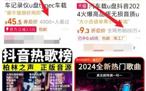车载音乐U盘项目，这样做，小白也能月入8000+（附详细教程）