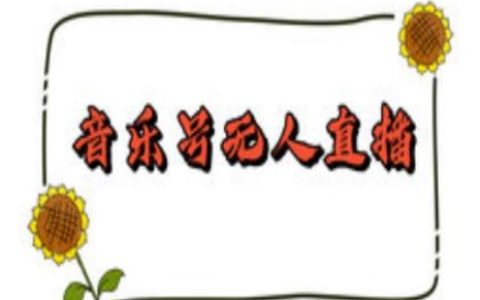 抖音音乐号无人直播间搭建指南:手把手教你24小时不间断直播赚取音浪