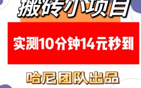 高效搬砖小项目：实测10分钟赚14元，每日稳定收入，附赠稳定技巧