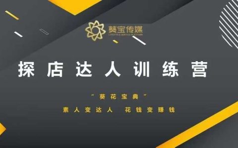 素人变探店达人训练营：零基础入门到精通，实现低成本变现高收益