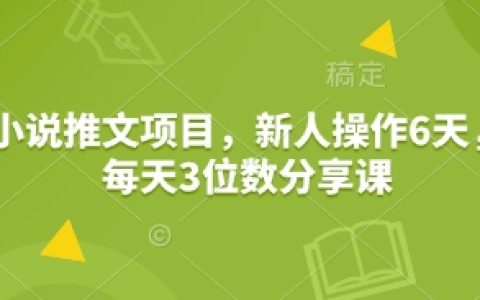 新手入门小说推广计划，六日速成教程，每日百人次分享技巧
