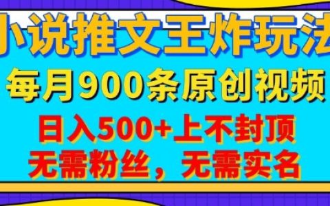 小说推文新玩法，一键代发每月最高900条原创视频，播放即赚，日入五元，无需粉丝实名认证【揭秘】
