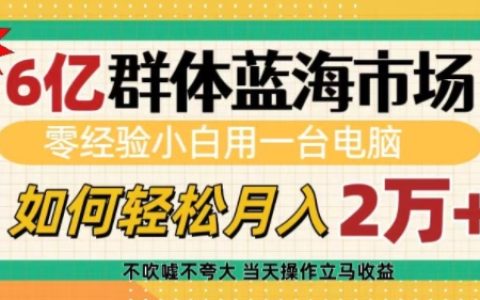 掘金6亿用户蓝海市场,零基础新手用电脑实现轻松月收入过万秘籍揭秘