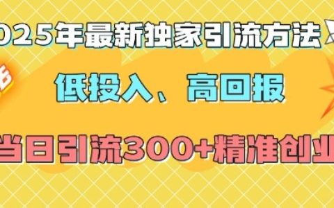 2025年最新独家高效引流技巧，低成本高回报！日引300+精准创业粉丝秘籍
