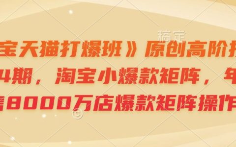 淘宝天猫高级课程:第64期小爆款矩阵打造,实现年销售8000万店铺运营技巧