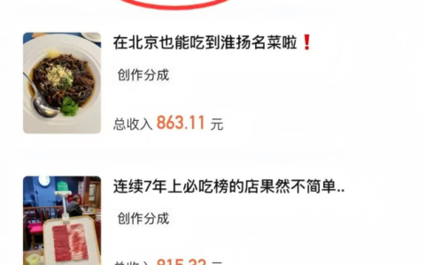大众点评赏金计划，简单搬运一天收入1500+，看完这个方法直接上手