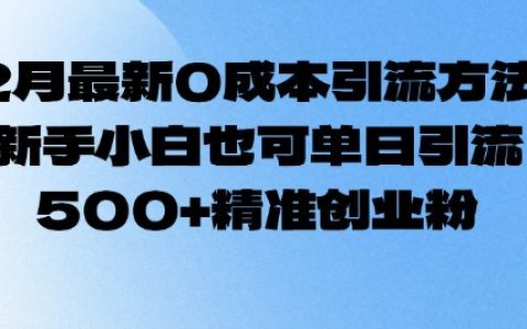 2月最新0成本引流秘籍:新手小白也能日引500+精准创业粉!