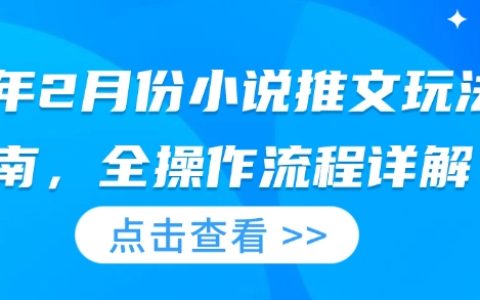 2025年2月小说推广策略全解析:详细操作流程与实战技巧指南
