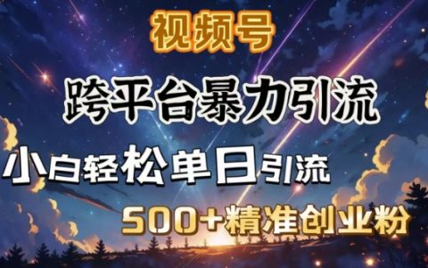 跨平台高效引流技巧，构建私域流量闭环，每日吸引500+精准创业粉丝（实战经验分享）
