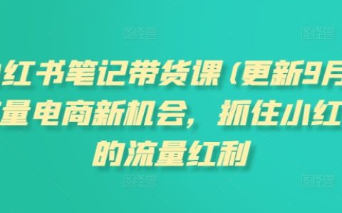 小红书笔记带货课程(更新25年1月)更新：把握流量电商新机遇，抢占小红书流量红利