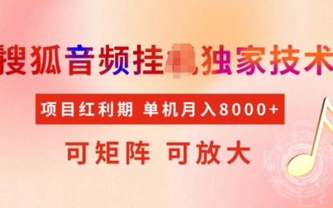 搜狐音频独家首发，项目红利期揭秘：矩阵运营助力稳定月入5K+