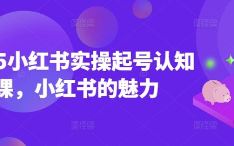 2025年小红书运营实战入门课：掌握小红书魅力，轻松打造个人品牌