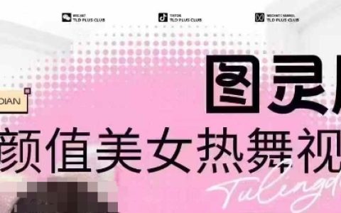 全网独家首发，988元图灵殿AI生成美女热舞视频，云端智能绘图，轻松通过原创检测