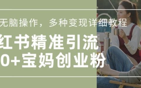 宝妈创业必看！小红书混剪日引200+粉丝教程，轻松实现流量变现