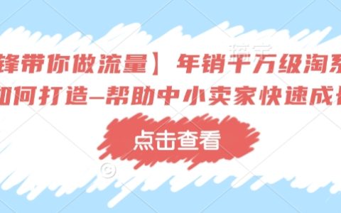 冷锋实战分享:年销千万级淘系商家如何打造?中小卖家快速成长秘籍