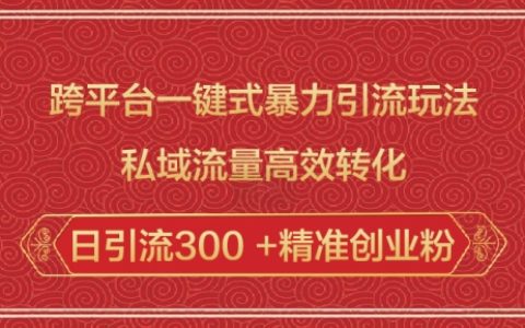 多平台暴力引流技巧:私域流量高效转化,轻松实现日引流300精准创业粉