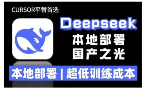 2025年DeepSeek R1模型本地部署指南：超低训练成本+详细安装教程