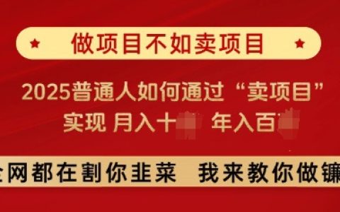 2025年普通人如何通过项目转让实现月入十万,年入百万?项目出售技巧全解析