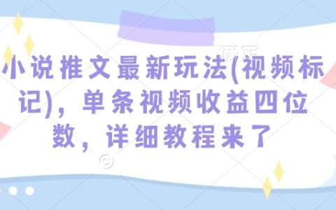 揭秘小说推文新技巧（视频标注法），单条视频收入过千，手把手教学教程全公开