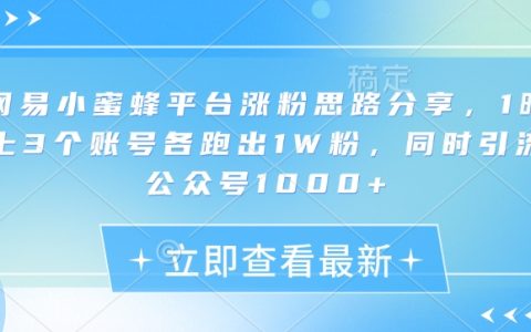 如何利用网易小蜜蜂平台快速涨粉？揭秘一夜增加3个10K粉丝账号及公众号1000+关注的技巧