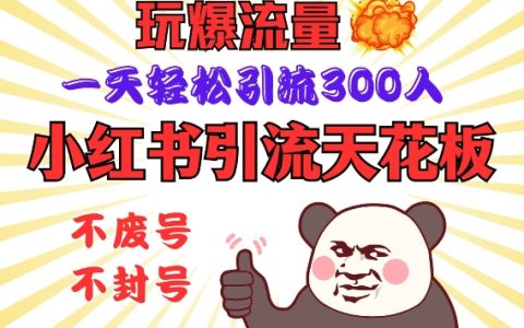 小红书引流新高度：掌握流量爆破技巧，安全操作实现每日300+精准引流，新手也能轻松上手