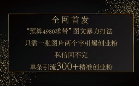 揭秘小红书图片引流秘籍：一张神奇图片助力笔记轻松实现300+精准创业粉丝引流