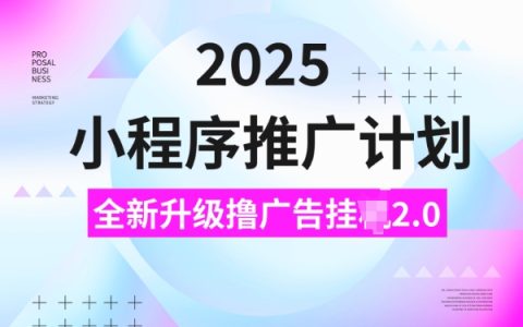 2025小程序推广攻略，揭秘广告联盟新玩法，日均收益5单实战分享