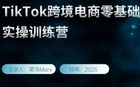 跨境黑马TikTok跨境电商实操训练营