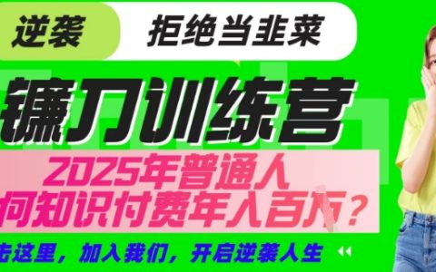 2025年普通人靠知识付费年赚百万 | 镰刀训练营超级IP合伙人项目深度解读(独家揭秘版)
