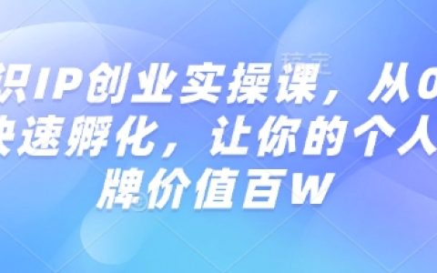 知识IP创业实战教程:从零开始快速孵化个人品牌,实现百W价值提升指南