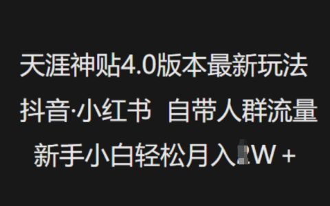 天涯神贴4.0新版攻略，抖音小红书引流技巧，新手小白每月轻松收入过万