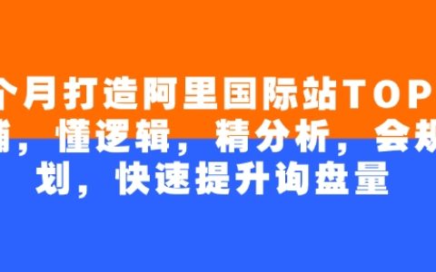 4个月冲刺阿里国际站顶尖店铺：掌握逻辑、精细分析与高效规划，大幅提升询盘量