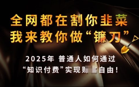 2025年实现知识付费月收入过万,手把手教你成为行业顶尖高手【深度解析】