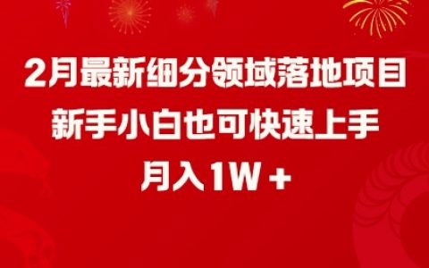 2月最新细分领域实战项目，新手小白快速入门，月收入破万指南