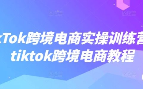 TikTok跨境电商实战培训课程，TikTok跨境电商运营教程全面指导