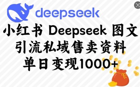 小红书深度探索图文引流秘籍，日销千份私域热销资料，高效变现攻略大揭秘！