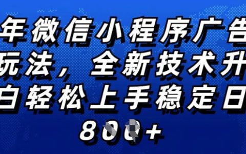 2025年微信小程序全新操作指南：纯小白轻松上手，稳定日赚技巧大公开，技术全面升级，全网独家揭秘