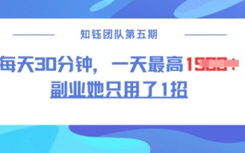 揭秘副业新招:每天30分钟无脑二创,实现日入1.5k的高效方法