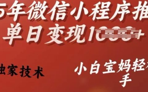 2025年最新微信小程序推广技巧，日入过百不是梦，独家秘籍助力小白宝妈轻松盈利