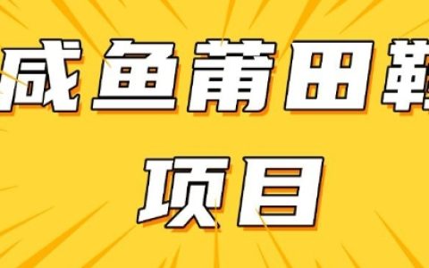 提升闲鱼转化率的高收益项目，手把手教学日入300+，附详细教程+货源指南