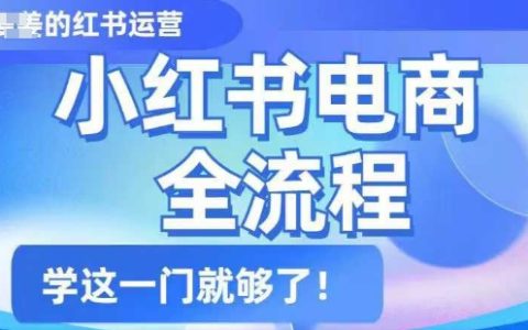 小红书电商全攻略：简单易懂的全流程教学，从入门到精通一站式学习