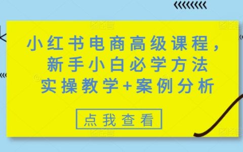 小红书电商进阶教程：新手必学技巧，实操教学+案例分析全方位指导