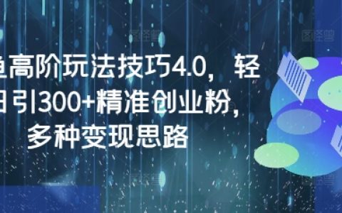闲鱼高阶运营指南4.0：每日引流300+精准用户，创业赚钱新思路分享