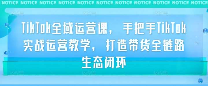 TikTok全阶运营体系课