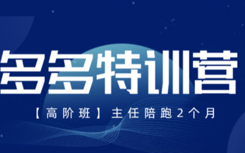2025发宝电商纪主任多多特训营高阶班